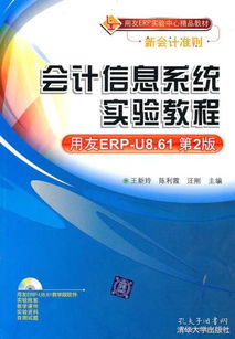 會(huì)計(jì)咨詢?cè)诳拙W(wǎng)分類中的價(jià)值與展望